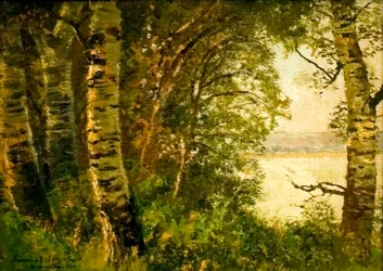 Landschaft mit Bäumen am Seeufer